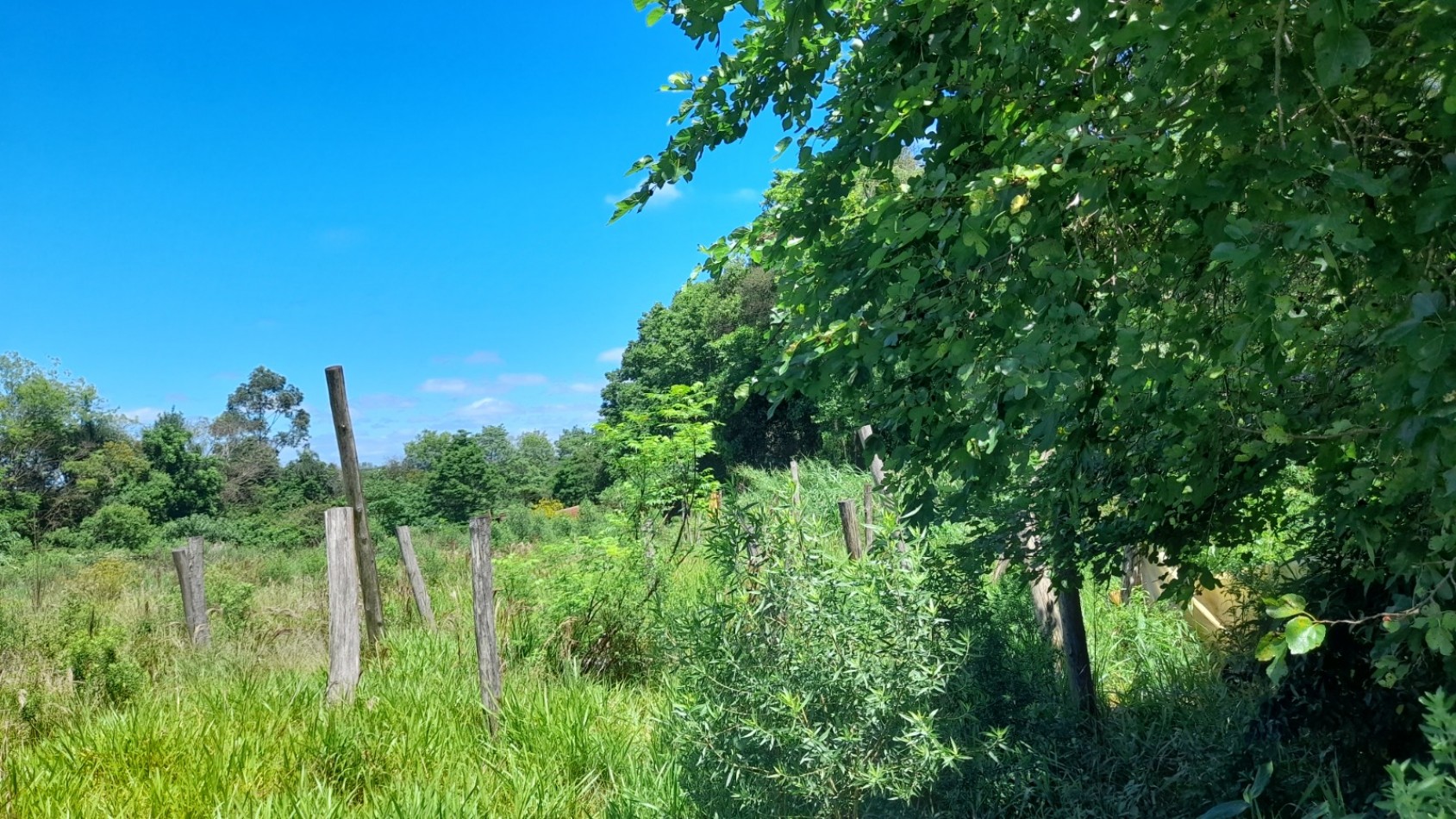 Terreno en Venta - Santo Pipo, Misiones.