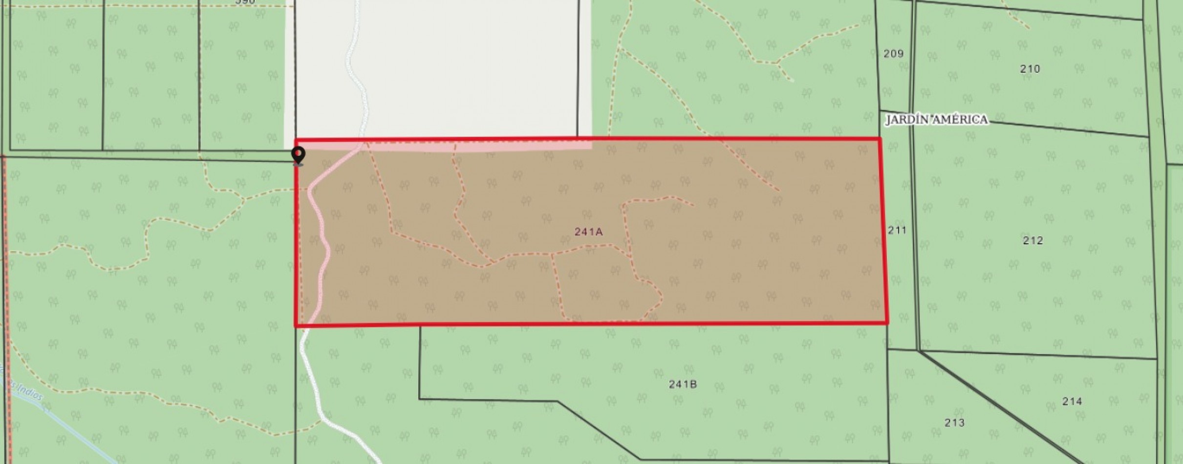 Venta campo con 160 ha de Pino taeda