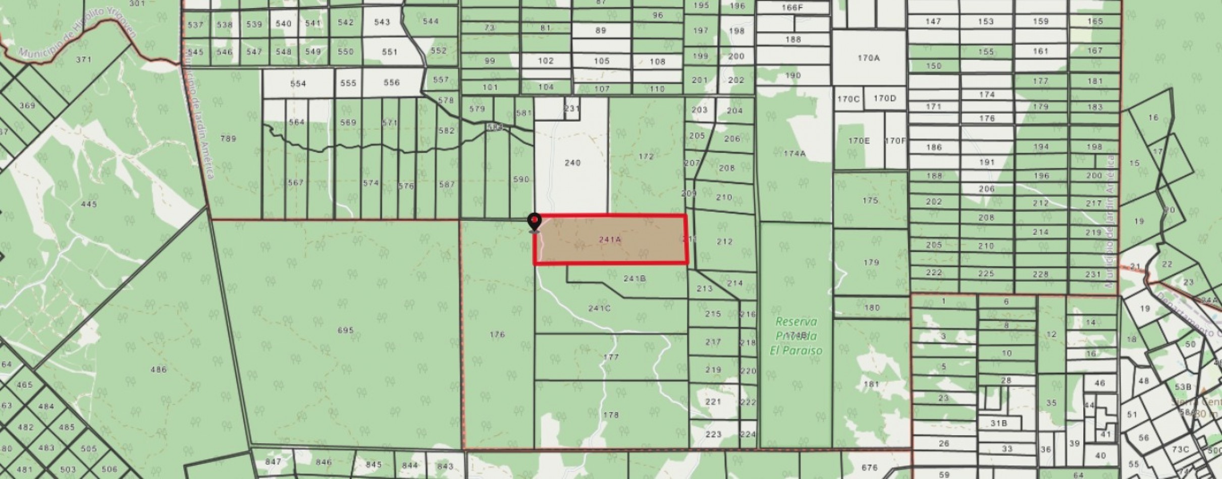 Venta campo con 160 ha de Pino taeda