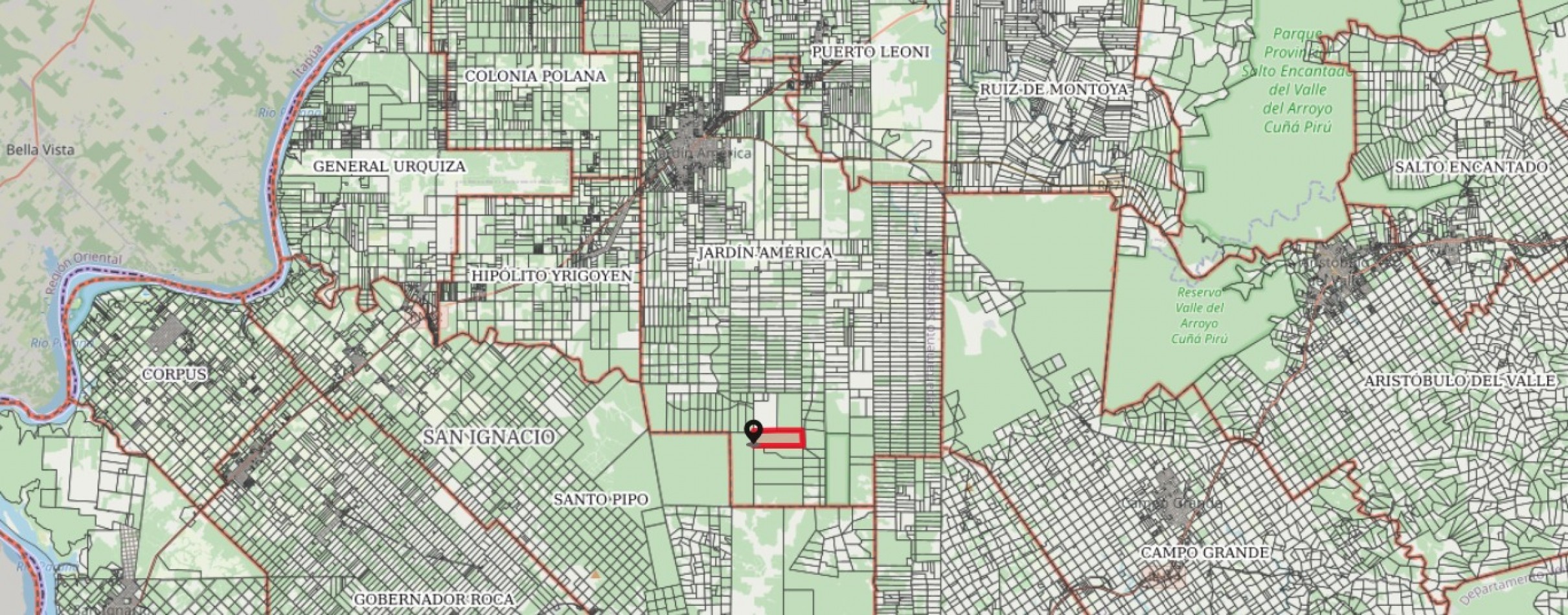 Venta campo con 160 ha de Pino taeda