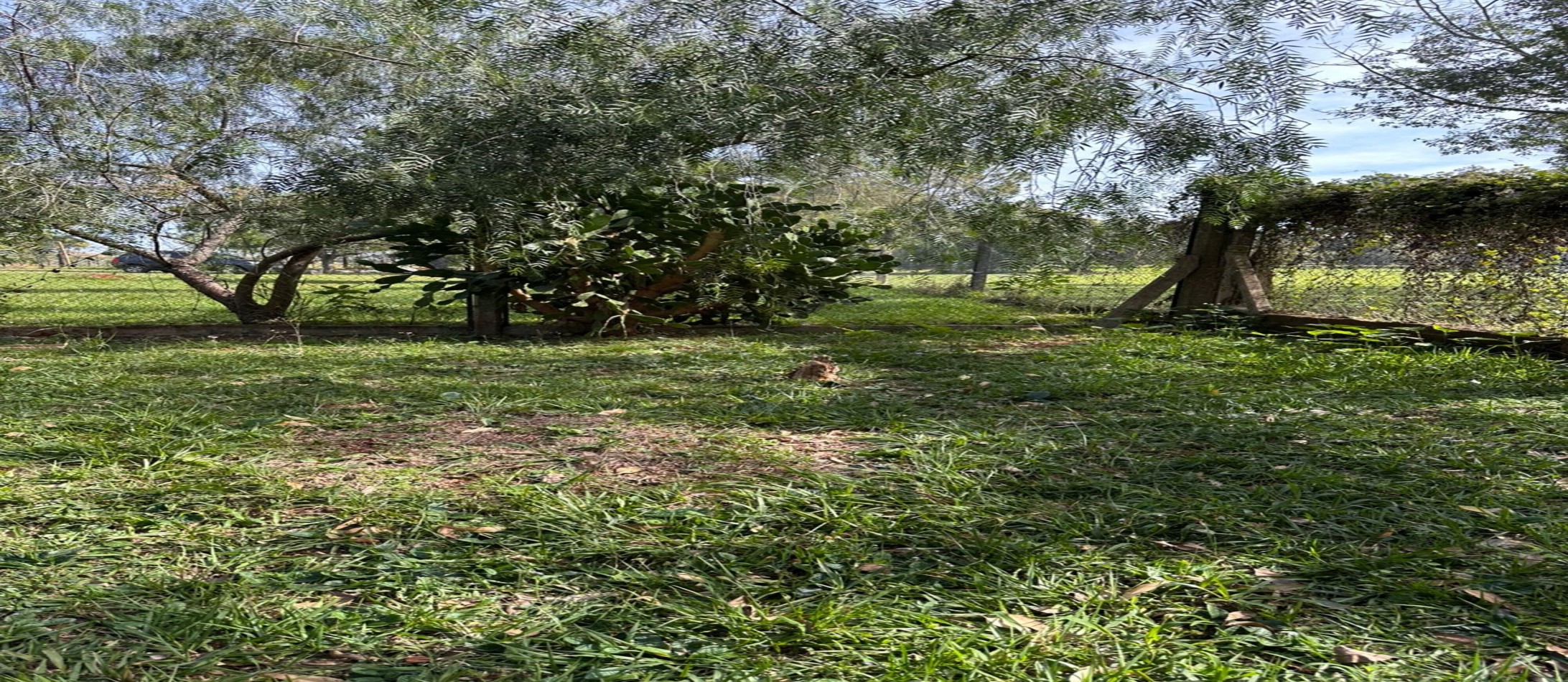 CASA EN ALQUILER - GARUPA