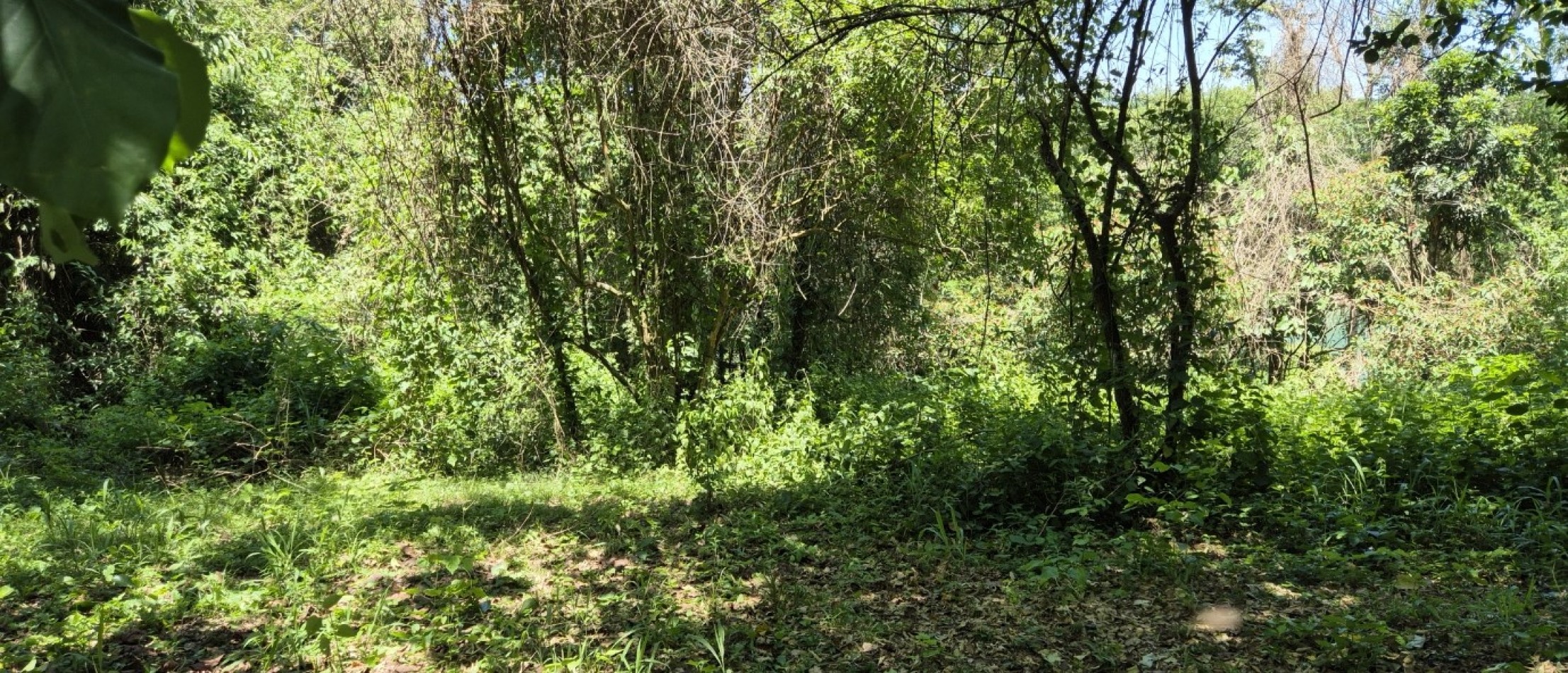 Lote 10.579 m² con vista al Rio Parana en Iguazu