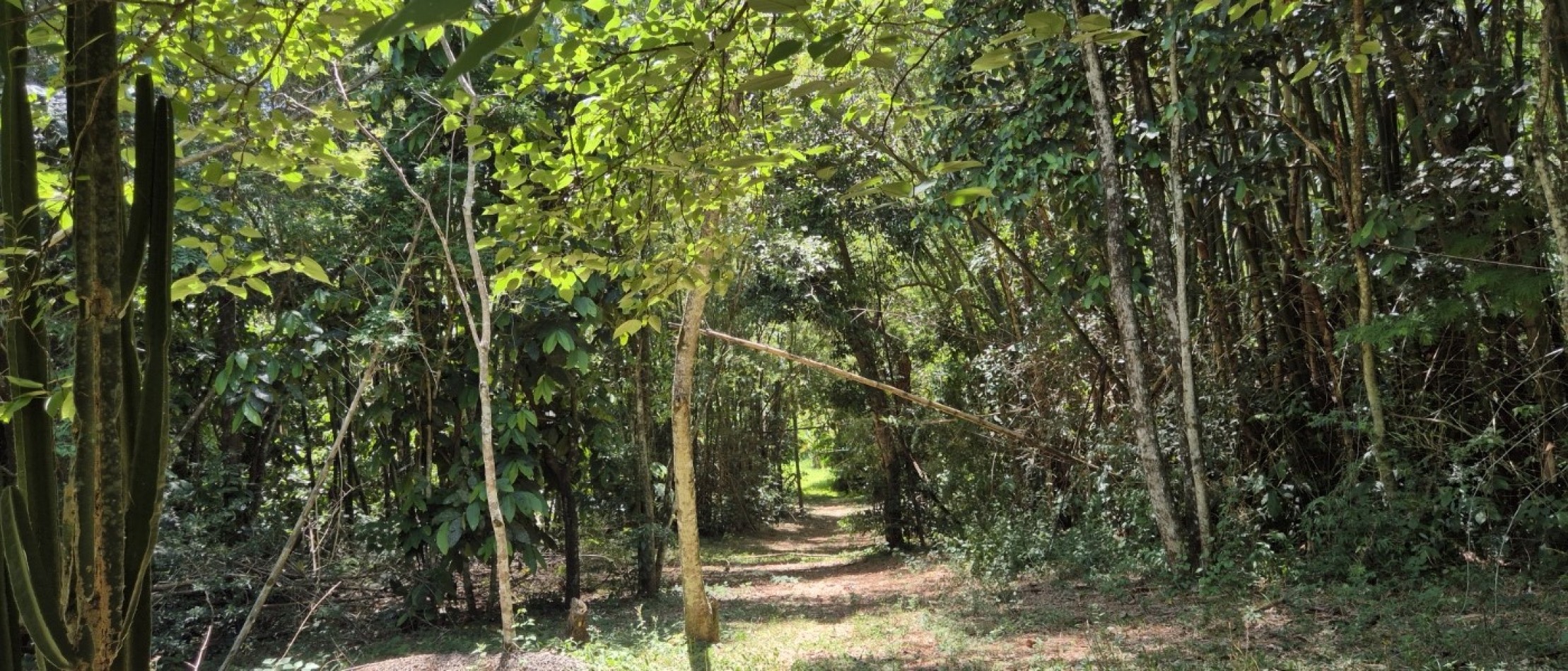 Lote 10.579 m² con vista al Rio Parana en Iguazu