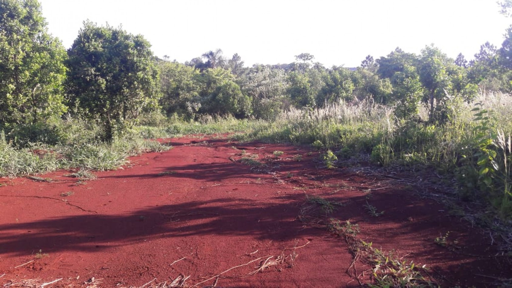 Terreno en venta Obera