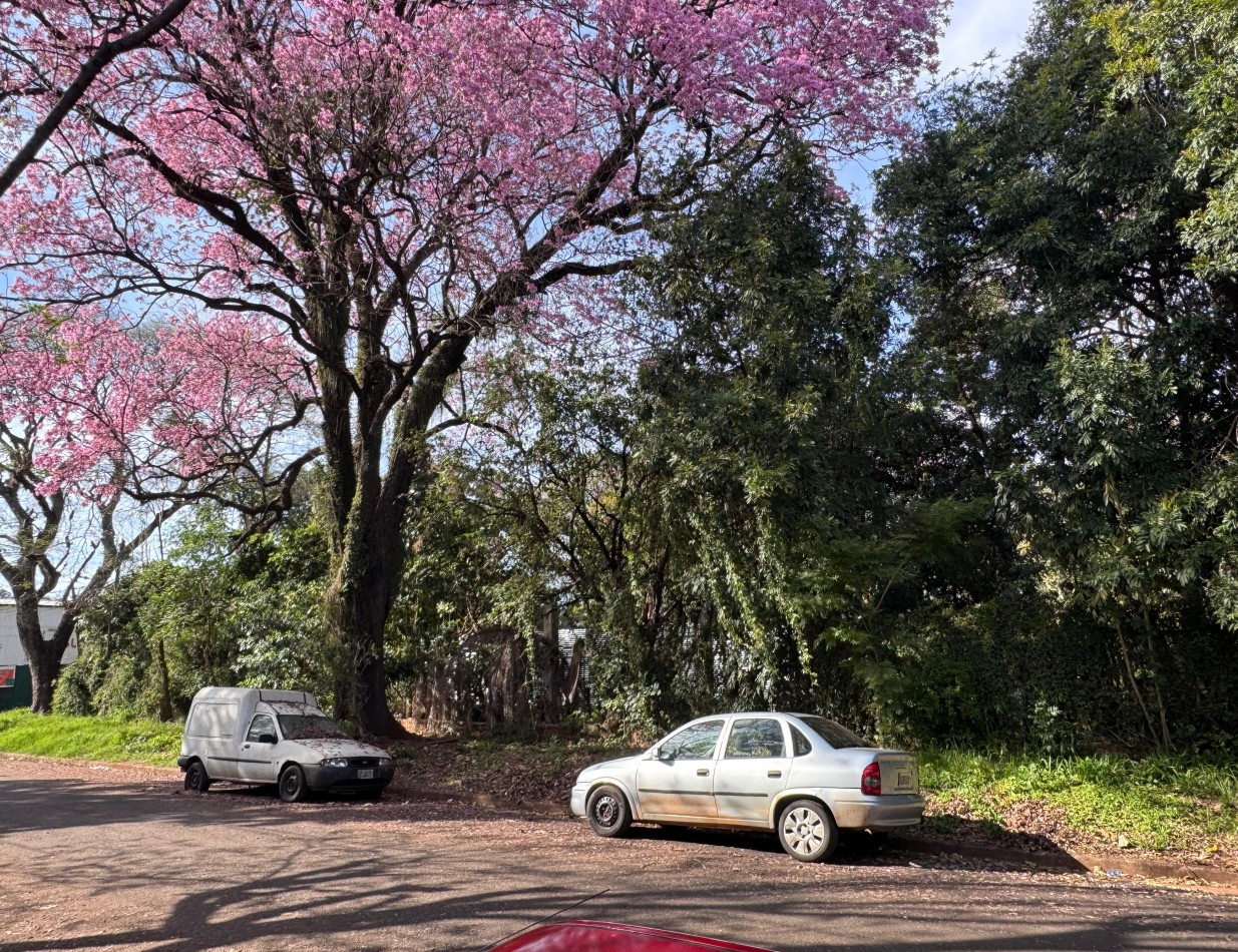 Venta Lote en Esquina zona Urquiza y 115 