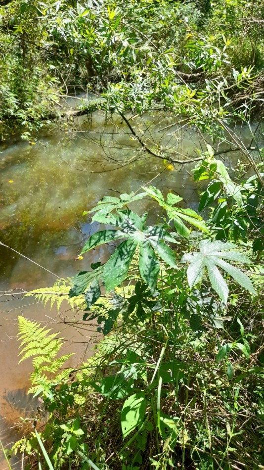 Terreno en Venta - Santo Pipo, Misiones.