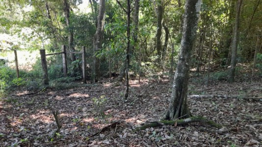 Terreno en Venta - Santo Pipo, Misiones.