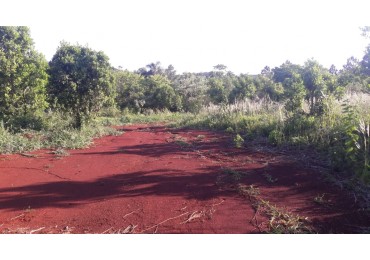 Terreno en venta Obera