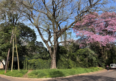 Venta Lote en Esquina zona Urquiza y 115 